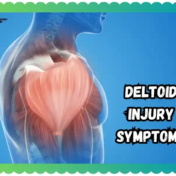 Deltoid Injury Symptoms – Warning Signs & Relief Way Free, taekwondoking