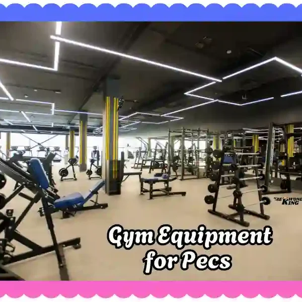 Gym Equipment for Pecs: Best Machines for Extra Powerful Chest, taekwondoking