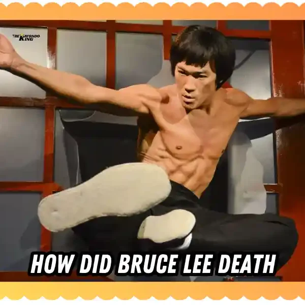 How Did Bruce Lee Death: World Great Mystery Behind a Legend, taekwondoking