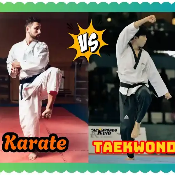 Karate vs Taekwondo: A New Complete Extra Comparison, taekwondoking