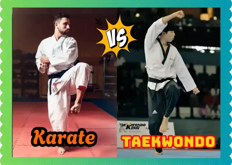 Karate vs Taekwondo: A New Complete Extra Comparison, taekwondoking