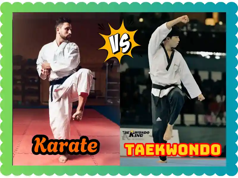 Karate vs Taekwondo: A New Complete Extra Comparison, taekwondoking