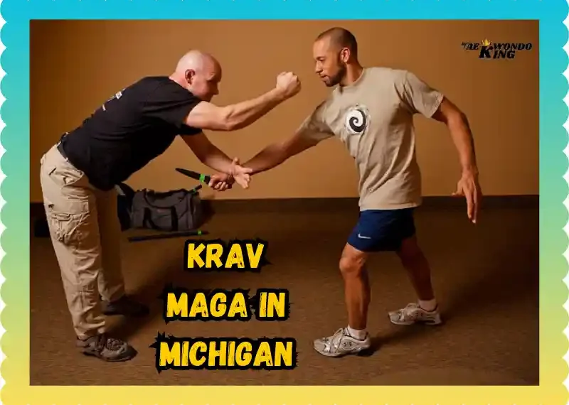 Krav Maga in Michigan: The Best Self-Defense Free Training, taekwondoking