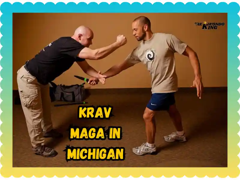 Krav Maga in Michigan: The Best Self-Defense Free Training, taekwondoking