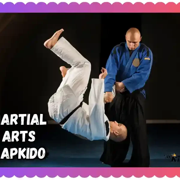 Martial Arts Hapkido: A New Complete Extra Guide, taekwondoking