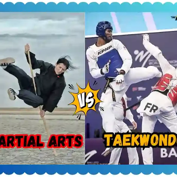 Martial Arts vs Taekwondo: Which Is Right for You? taekwondoking