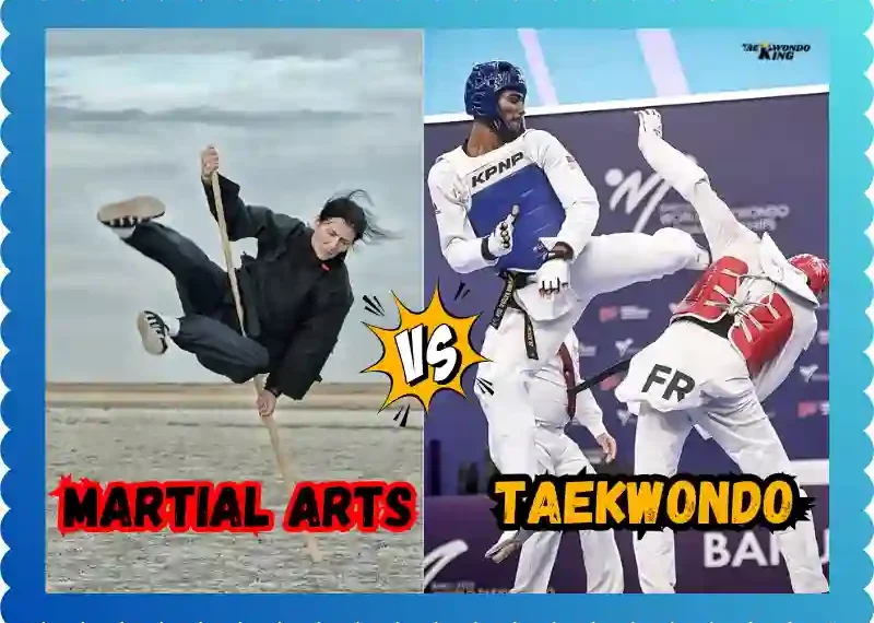 Martial Arts vs Taekwondo: Which Is Right for You? taekwondoking