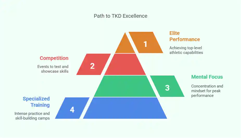 Path to TKD Excellence, taekwondoking