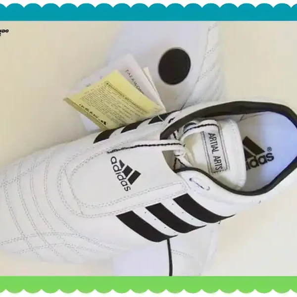 Adidas Taekwondo Shoes Tested Honest Review. taekwondoking.com