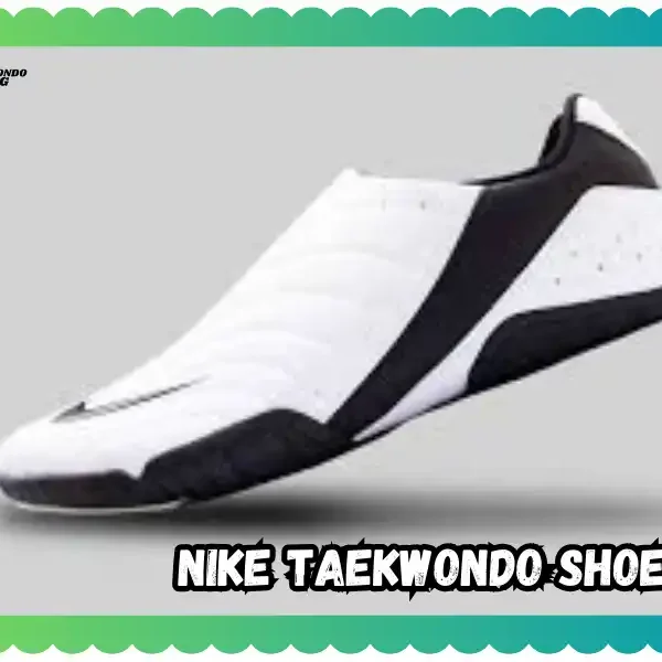 Nike Taekwondo Shoes Tested Review, taekwondoking