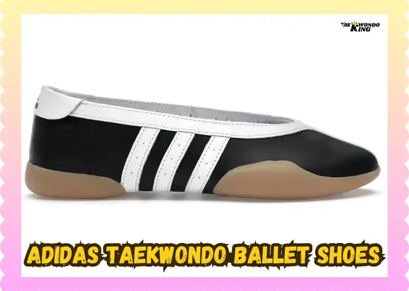 Adidas Taekwondo Ballet Shoes Tested Honest Review, taekwondoking