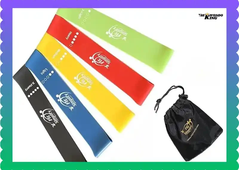 Fit Simplify Resistance Bands Set of 5 With Carry Bag, taekwondoking