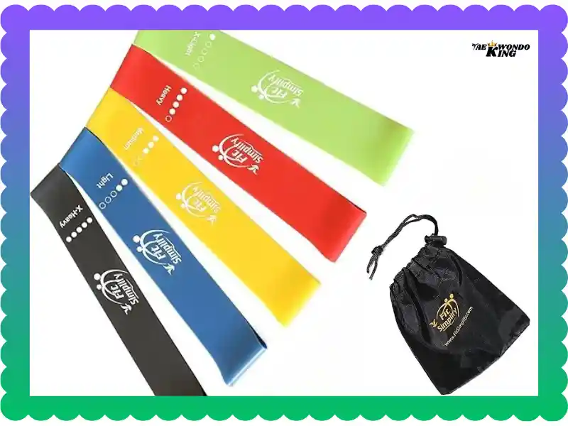 Fit Simplify Resistance Bands Set of 5 With Carry Bag, taekwondoking