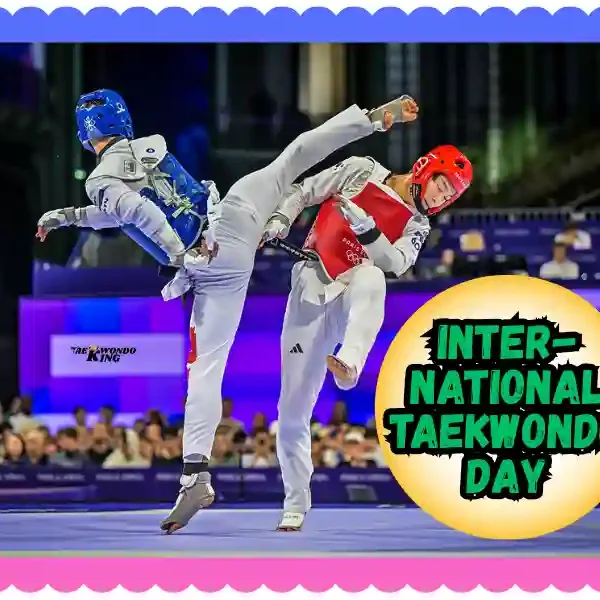 International Taekwondo Day Matters: My Journey, taekwondoking