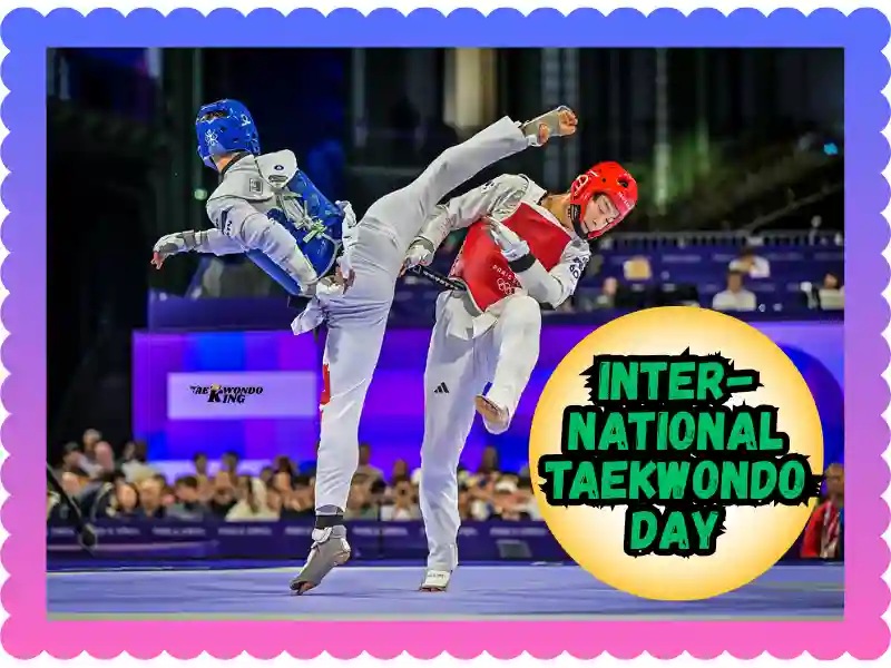 International Taekwondo Day Matters: My Journey, taekwondoking