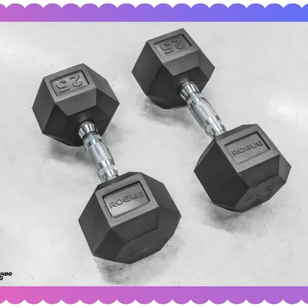 Rogue Rubber Hex Dumbbells Tested Review