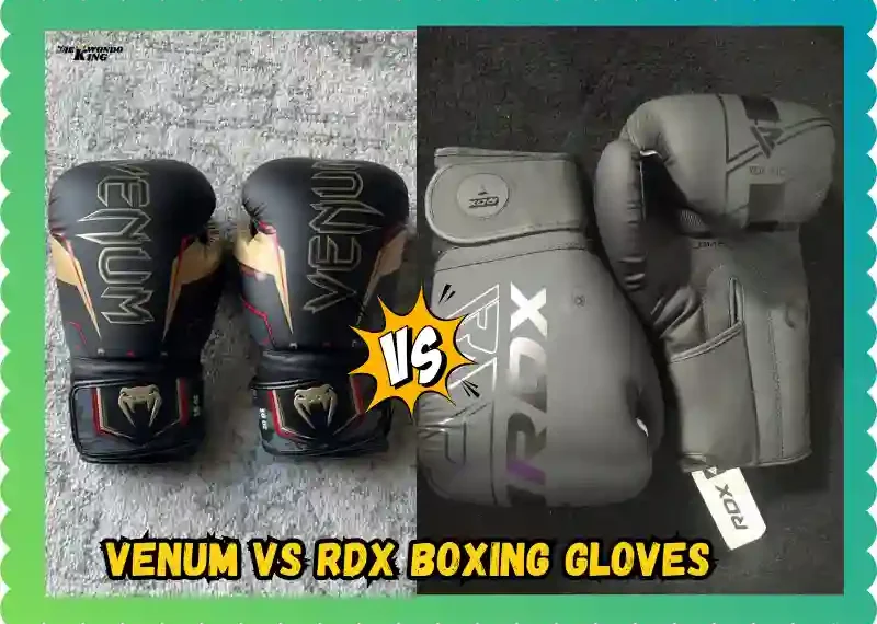 Venum vs RDX Boxing Gloves: A Raw Test Review, taekwondoking