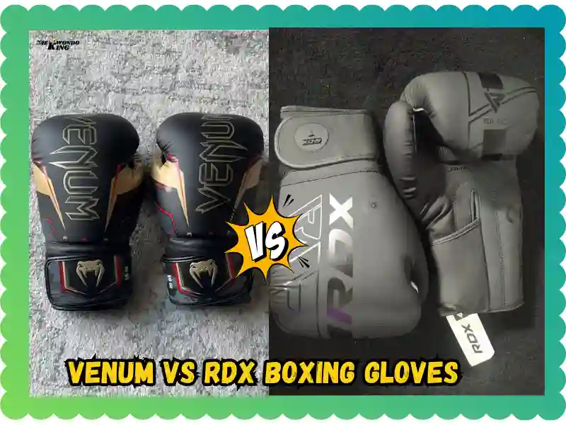 Venum vs RDX Boxing Gloves: A Raw Test Review, taekwondoking