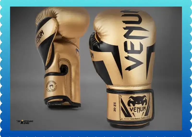 Why I Trust Venum Elite Boxing Gloves for Training, taekwondoking
