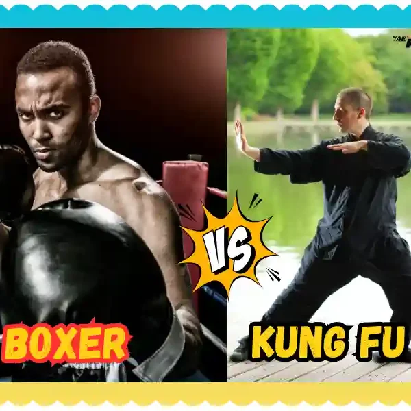 Can a Boxer Beat a Kung Fu Master? taekwondoking