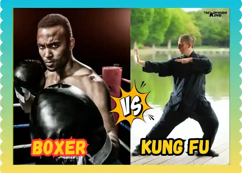 Can a Boxer Beat a Kung Fu Master? taekwondoking