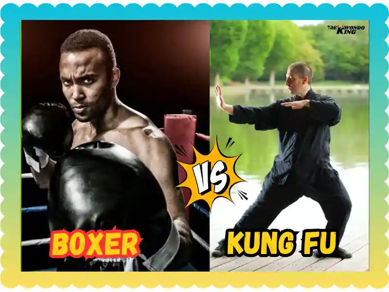 Can a Boxer Beat a Kung Fu Master? taekwondoking