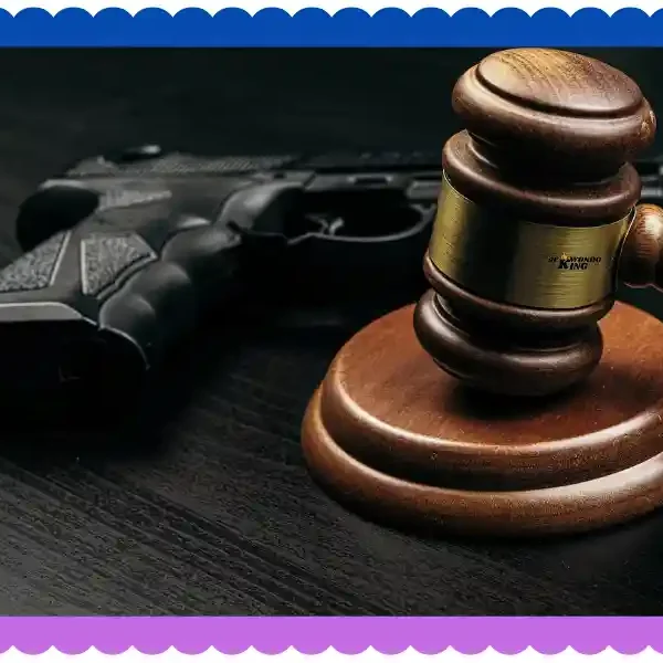 Legal Self-Defense Weapons in New York​ Real Review, taekwondoking