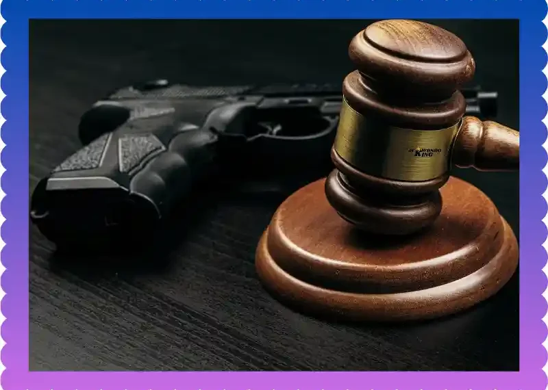 Legal Self-Defense Weapons in New York​ Real Review, taekwondoking