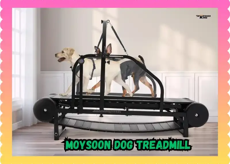 Moysoon Dog Treadmill: Keep Your Dog Active Indoors! taekwondoking