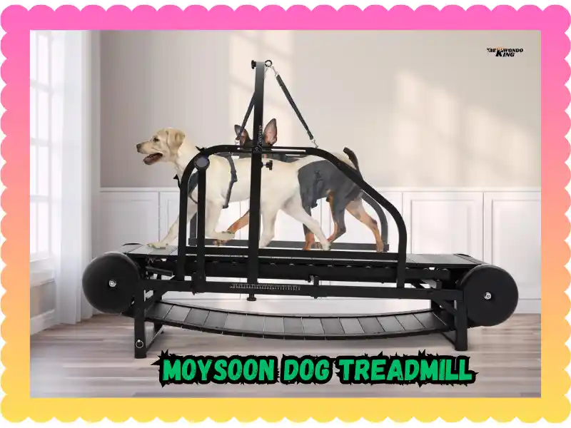 Moysoon Dog Treadmill: Keep Your Dog Active Indoors! taekwondoking