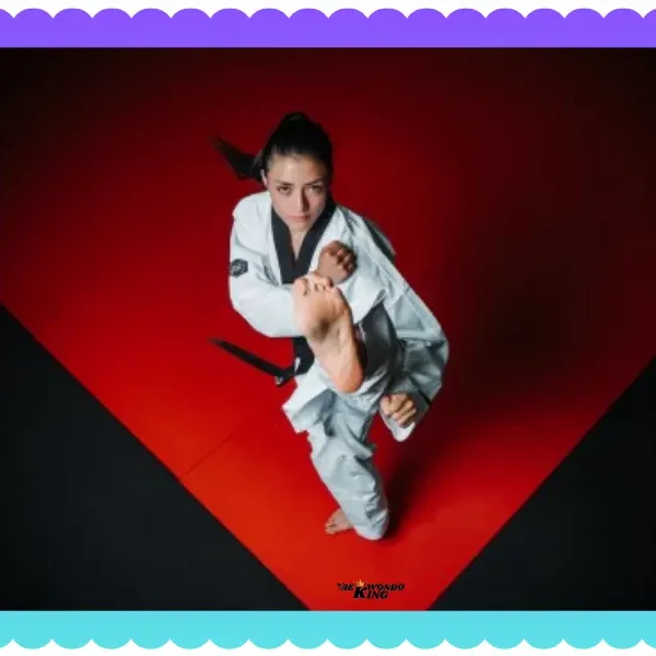 Taekwondo San Francisco: New Classes Starting Soon!, taekwondoking