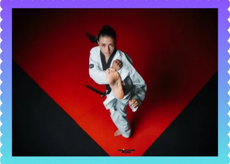 Taekwondo San Francisco: New Classes Starting Soon!, taekwondoking
