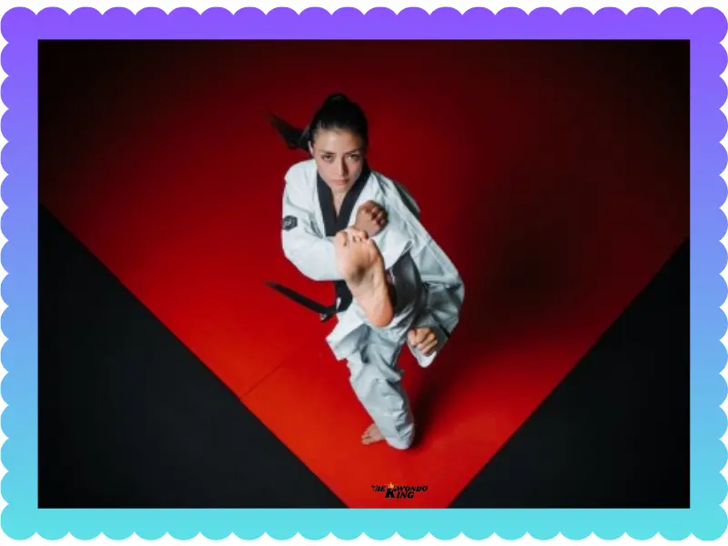 Taekwondo San Francisco: New Classes Starting Soon!, taekwondoking 