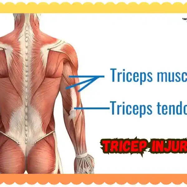 Tricep Injury: Spot It, Treat It, Prevent It, taekwondoking