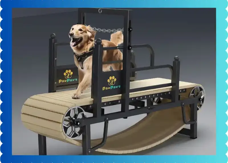 15 Best Treadmills For Dogs 2025 Get Your Pup Running! taekwondoking