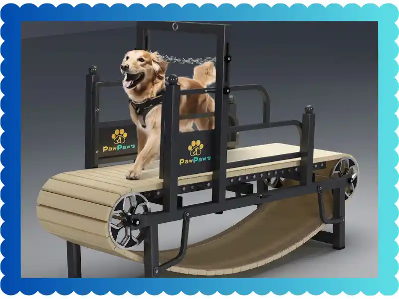 15 Best Treadmills For Dogs 2025 Get Your Pup Running! taekwondoking