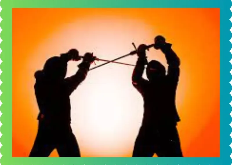 The Profound World of Historical European Martial Arts, taekwondoking