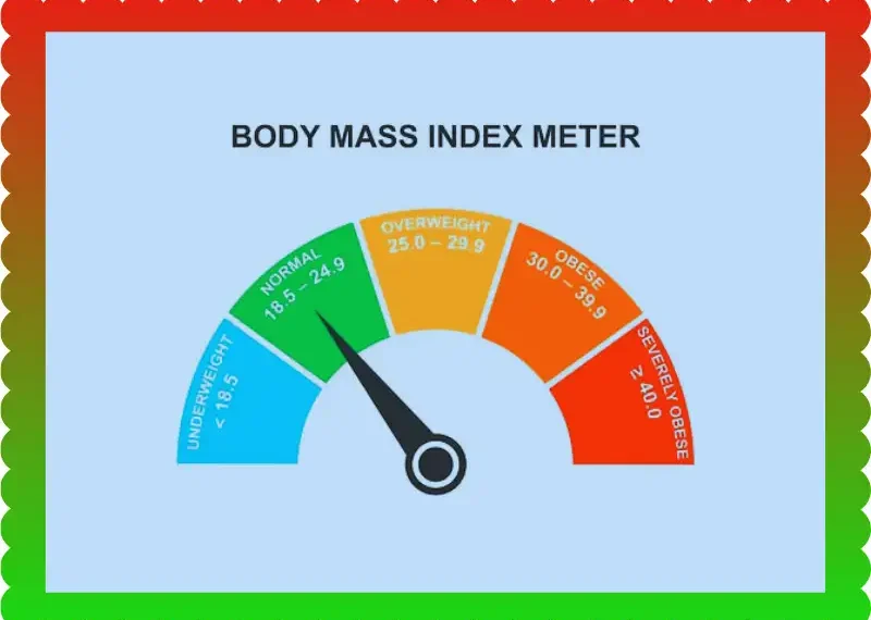 Why Everyone Needs a Smart BMI Calculator, taekwondoking