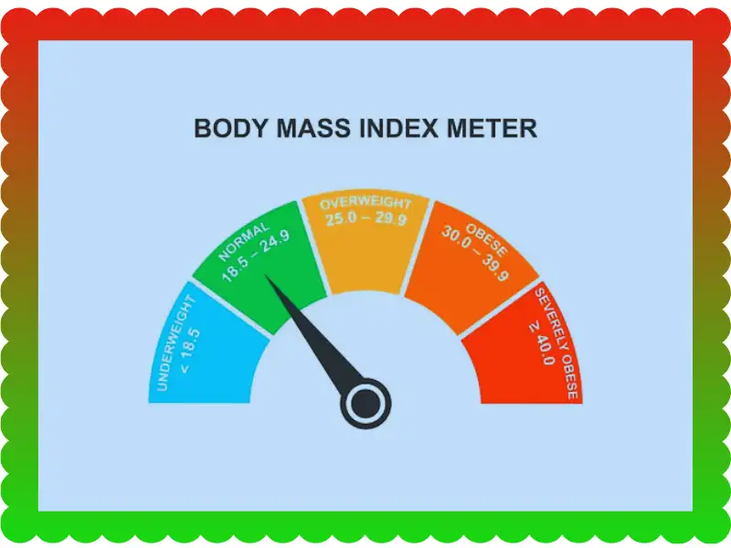 Why Everyone Needs a Smart BMI Calculator, taekwondoking