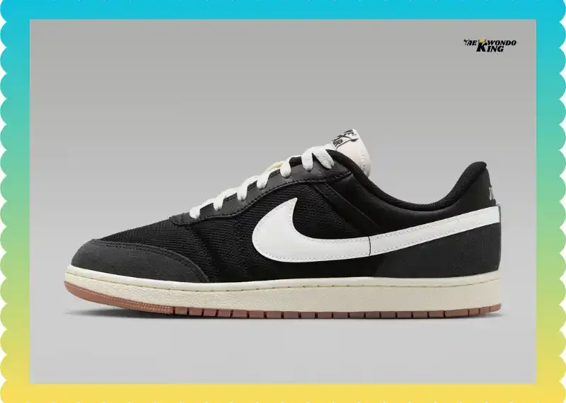 Air Jordan Skyline Low