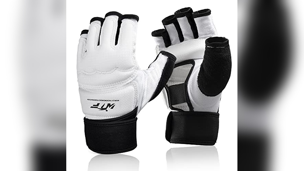 Best Taekwondo Gloves