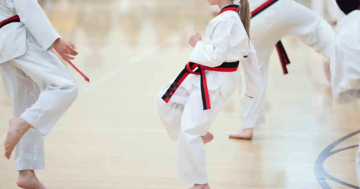 taekwondo belt test requirements