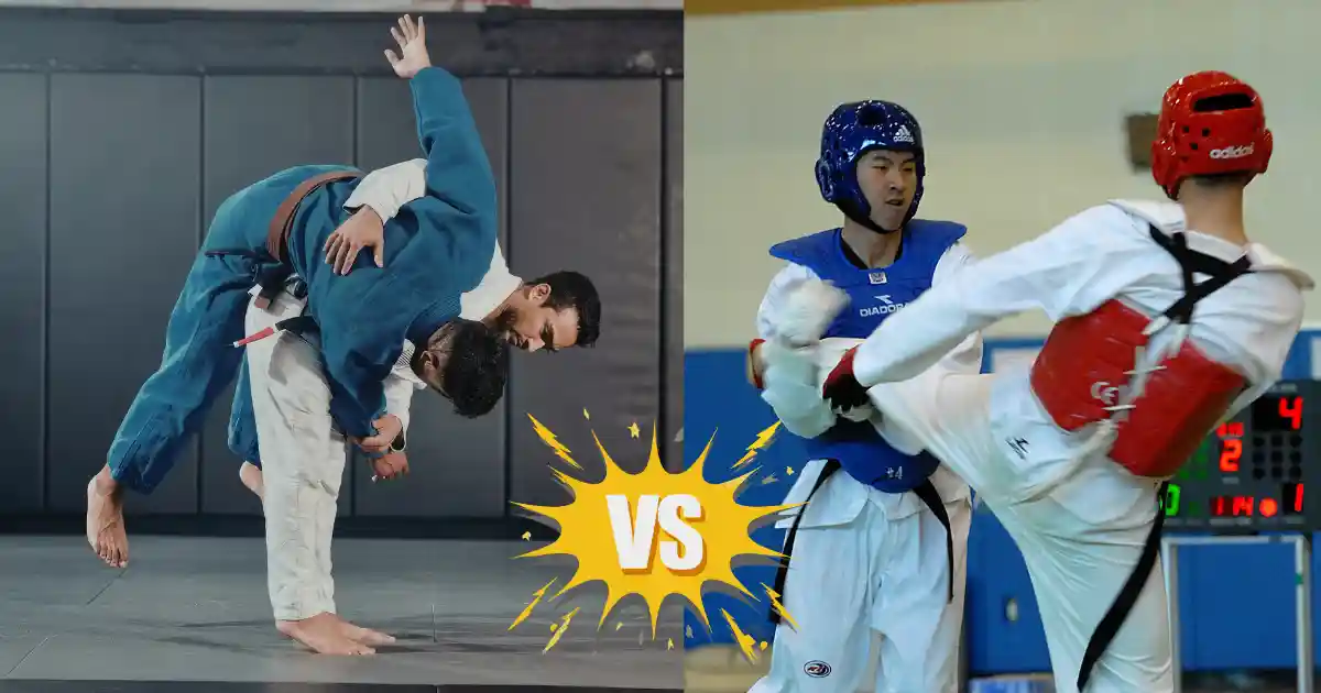 Striking vs Grappling Martial Arts