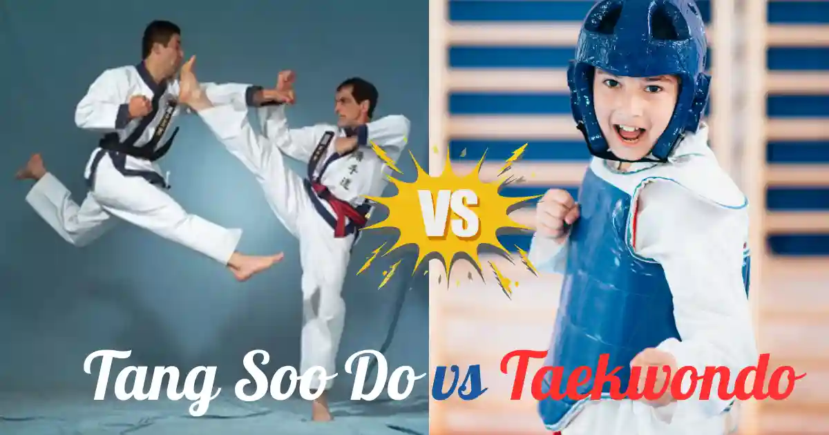 TangSooDo vs Taekwondo