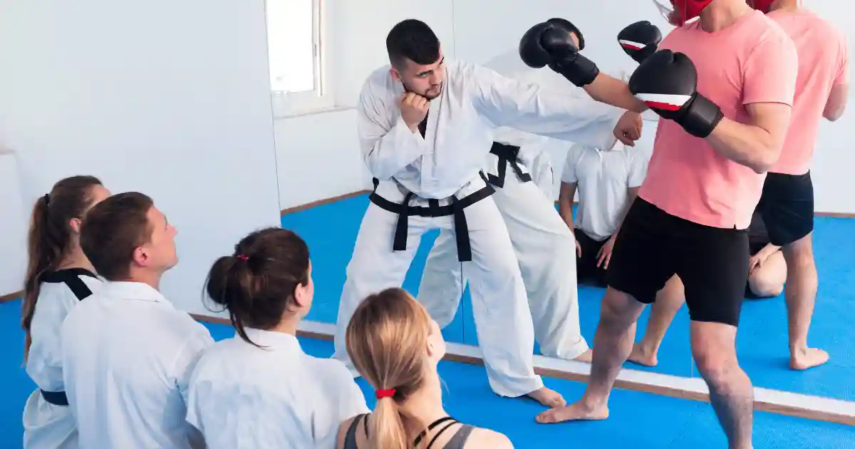Experienced Taekwondo Instructor